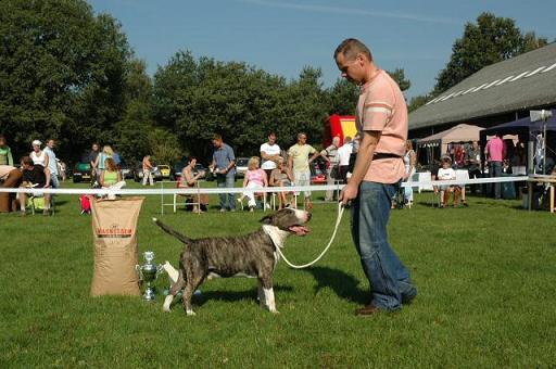 Marco met Bob als beste senior 2005