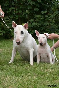 vader en dochter (bono en bella)