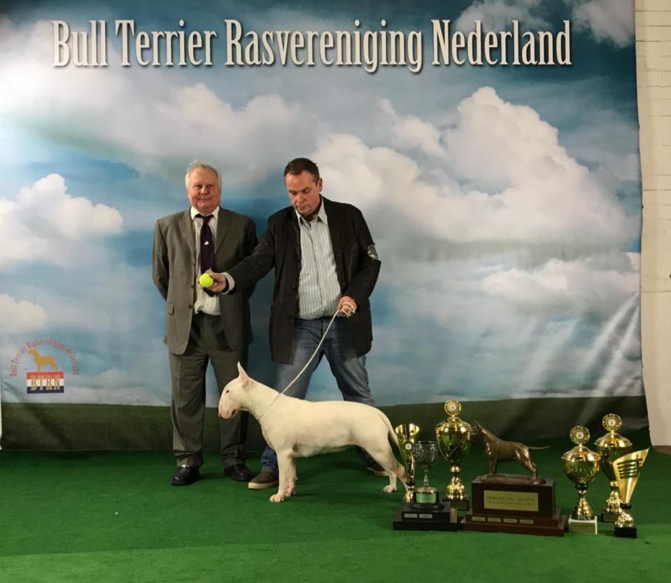 LAYLA OP DE SHOW VAN DE BTRN